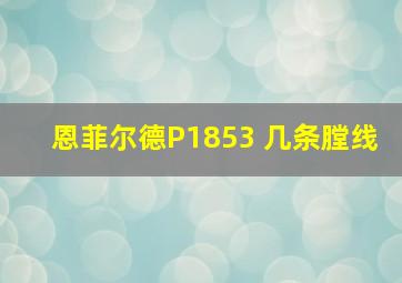 恩菲尔德P1853 几条膛线